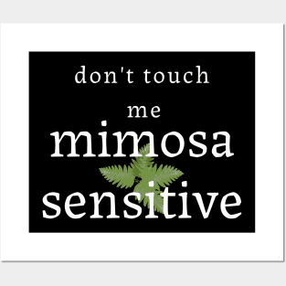 Mimosa Sensitve Posters and Art